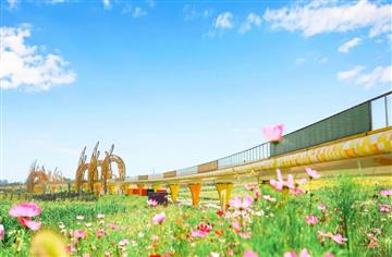 桥梁心动季|国庆去哪儿？来环城生态公园度过悠长假期