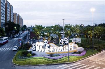 大运有我⑤|和我在成都十陵的街头走一走