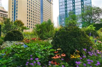 大运有我③|青羊文旅线路风貌提升改造项目：让大运成果可感可及