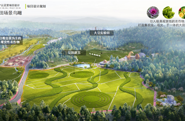 CDAD作品|遂宁云灵里片区乡村振兴建设项目：千亩良田中的“一粒豆事”