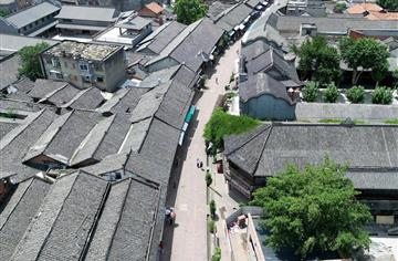 延续城市历史文脉，成都市历史文化名镇保护情况专项评估